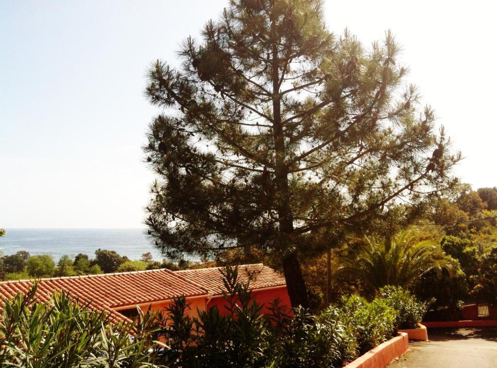 Hotel Residence San Pieru Tarcu Buitenkant foto