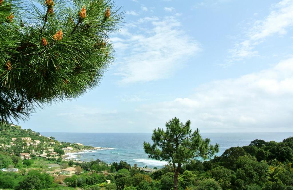 Hotel Residence San Pieru Tarcu Buitenkant foto