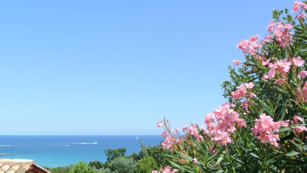 Hotel Residence San Pieru Tarcu Kamer foto